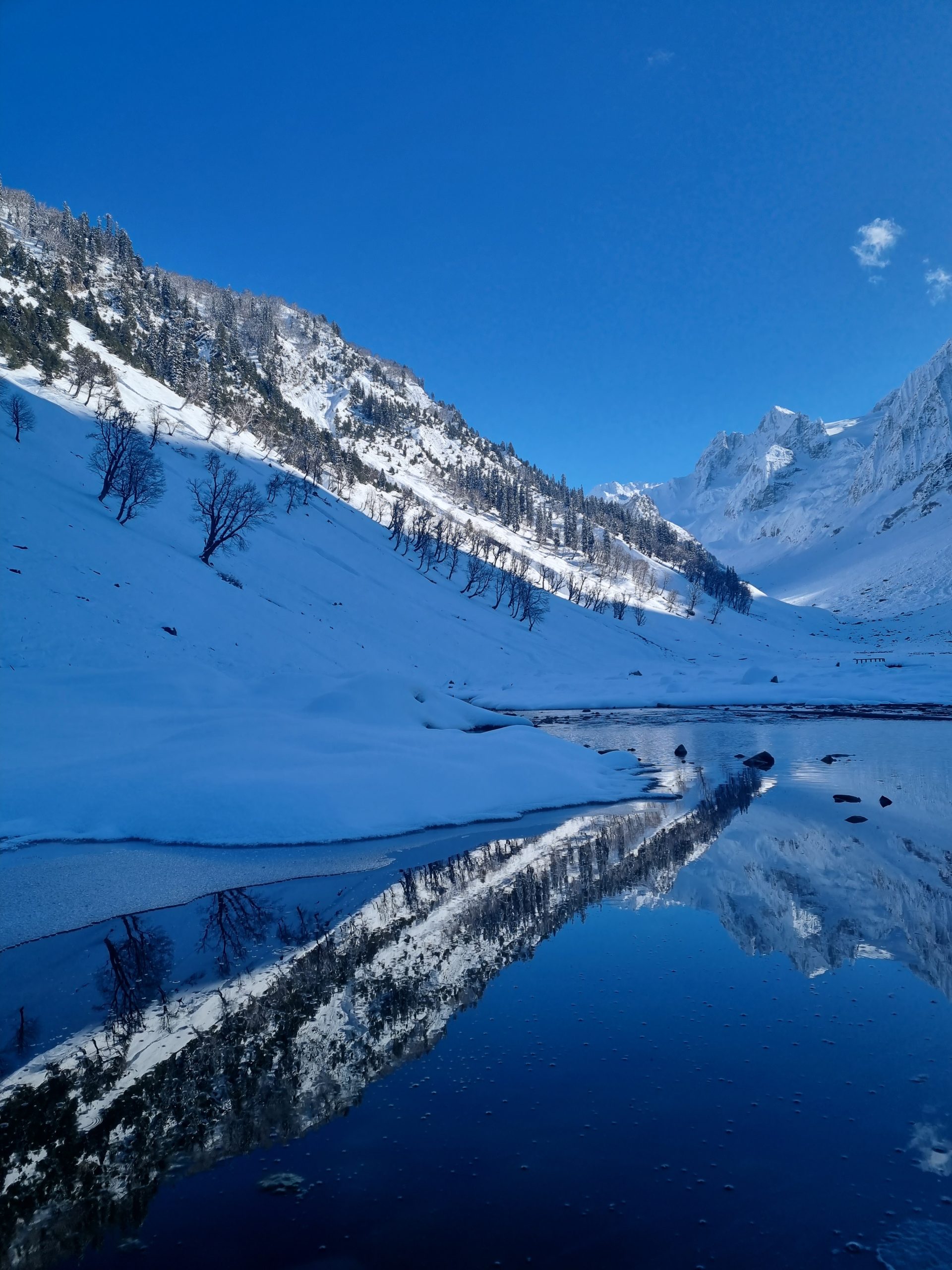 Day 74 – Ice, ice Davesy