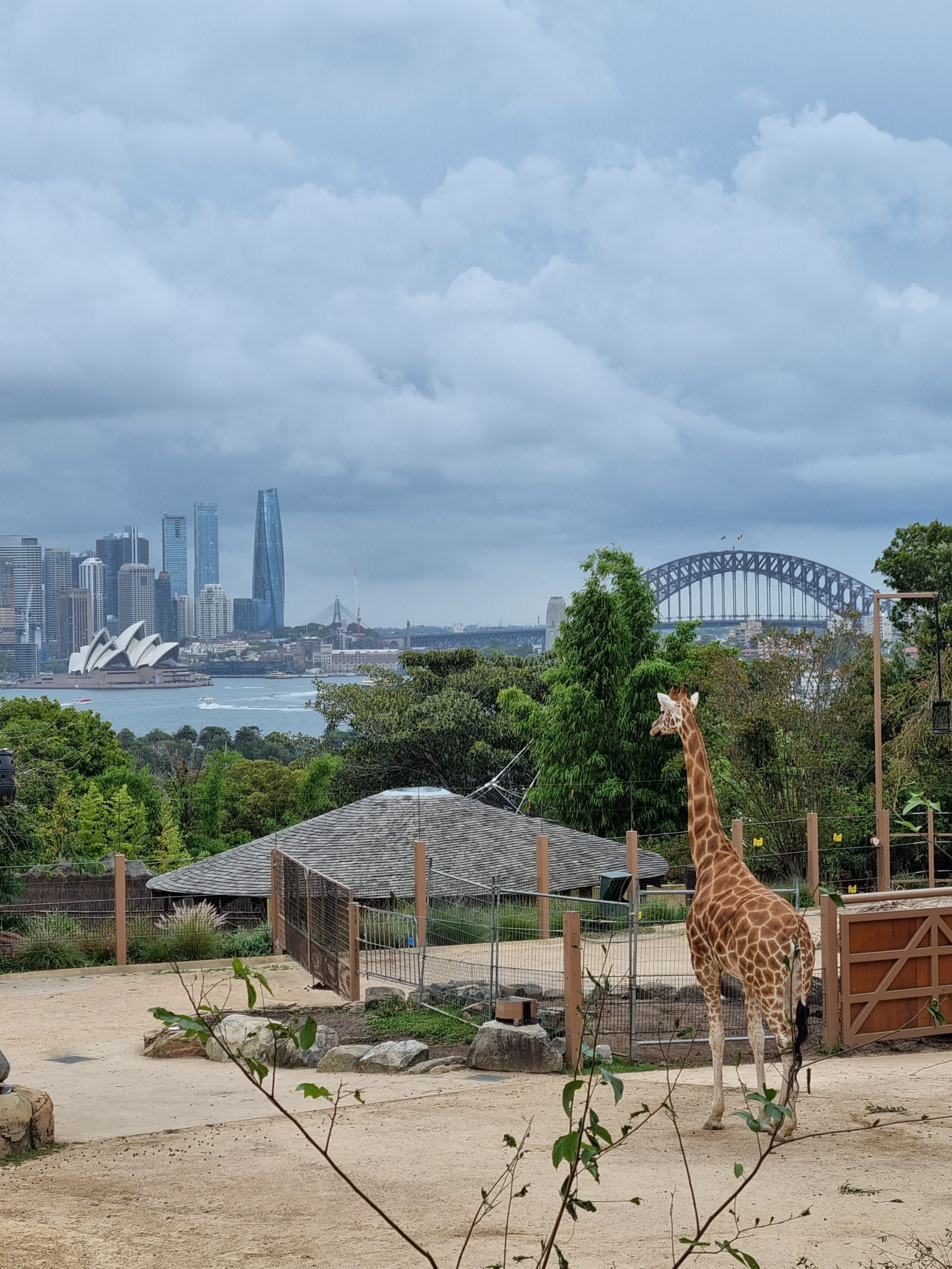 Day 101 – Having a zoo-rific time!