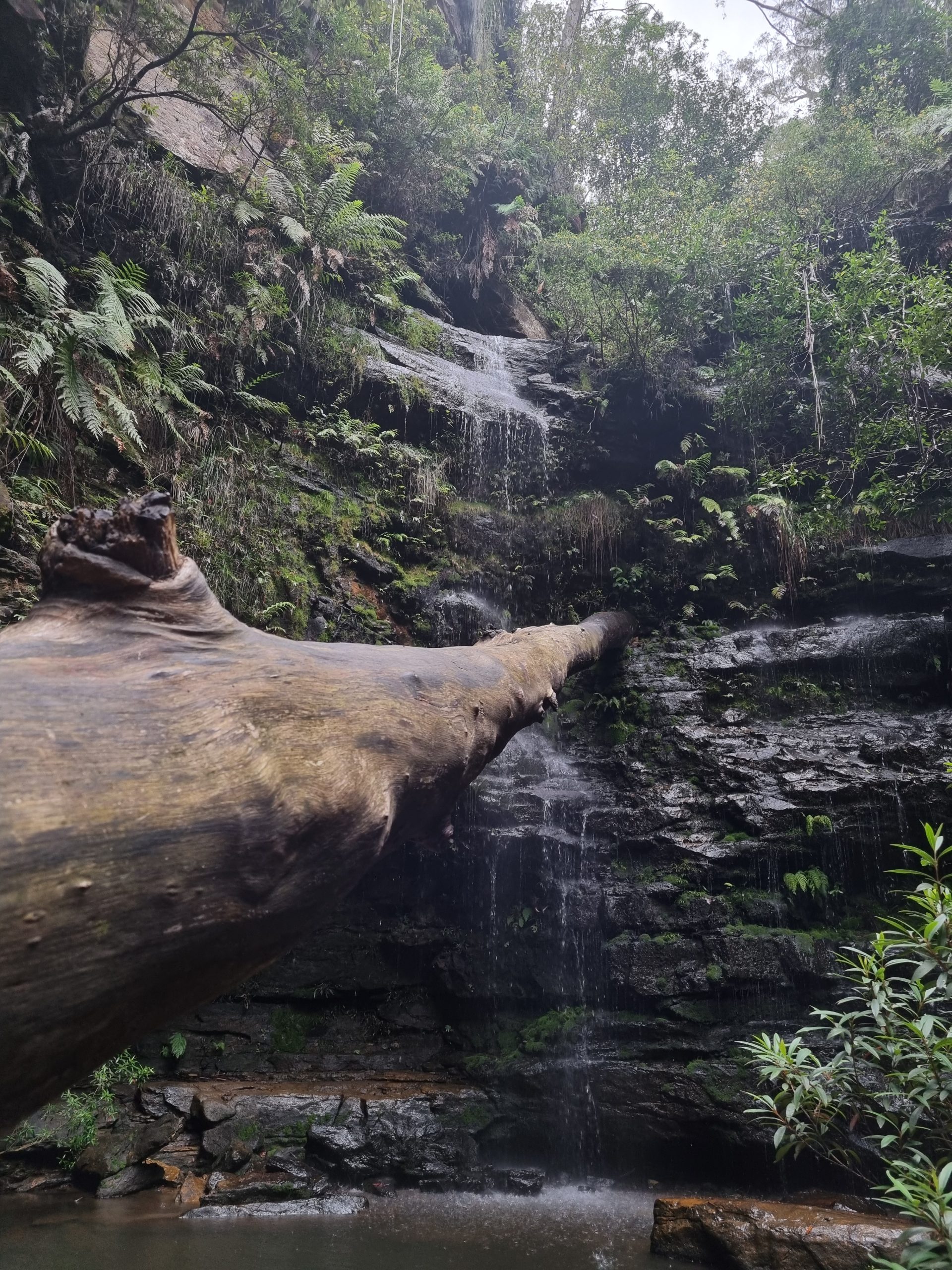 Day 105 – Road trippin’