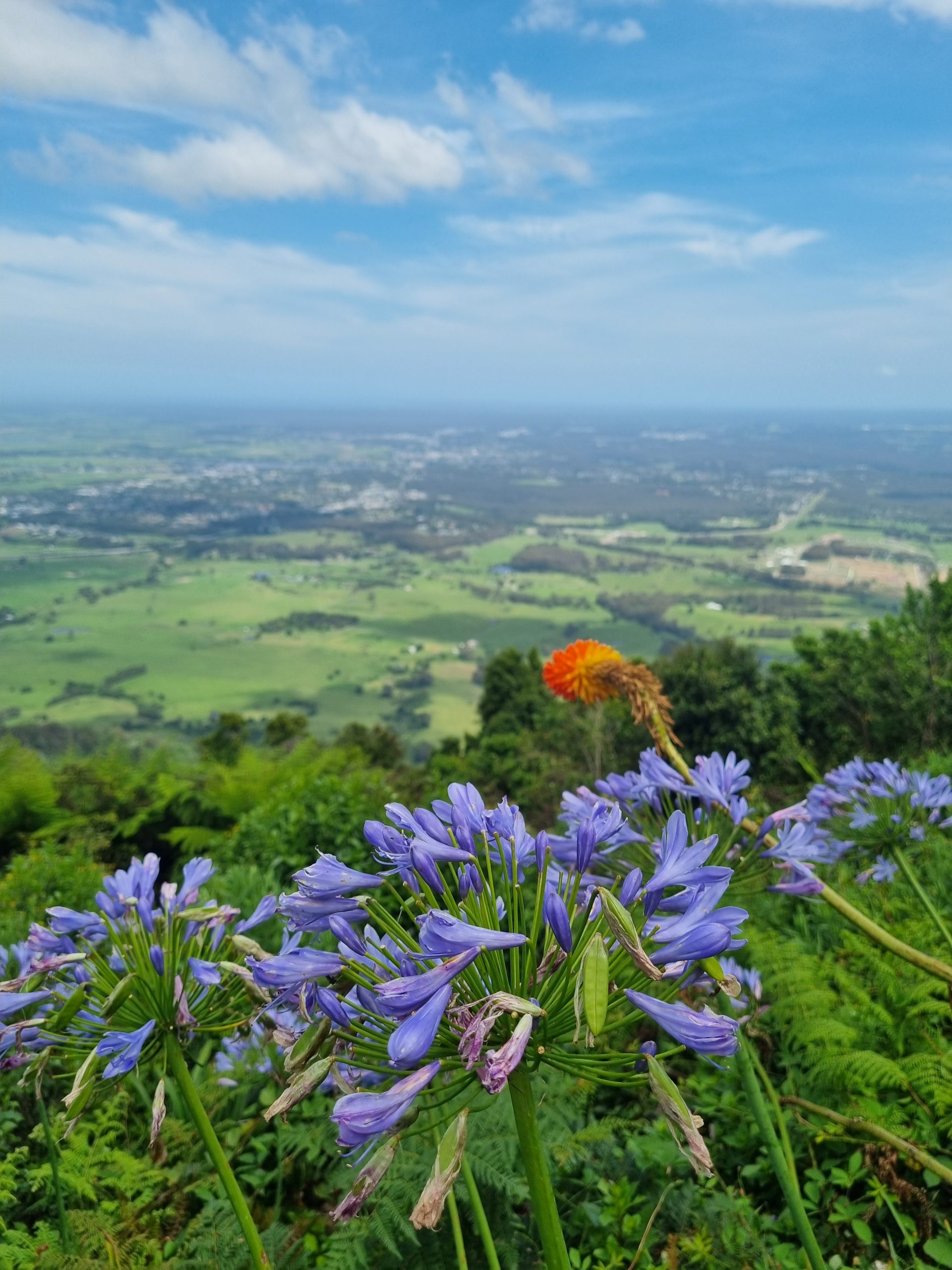 Day 110 – Nowra hopping to the Coast