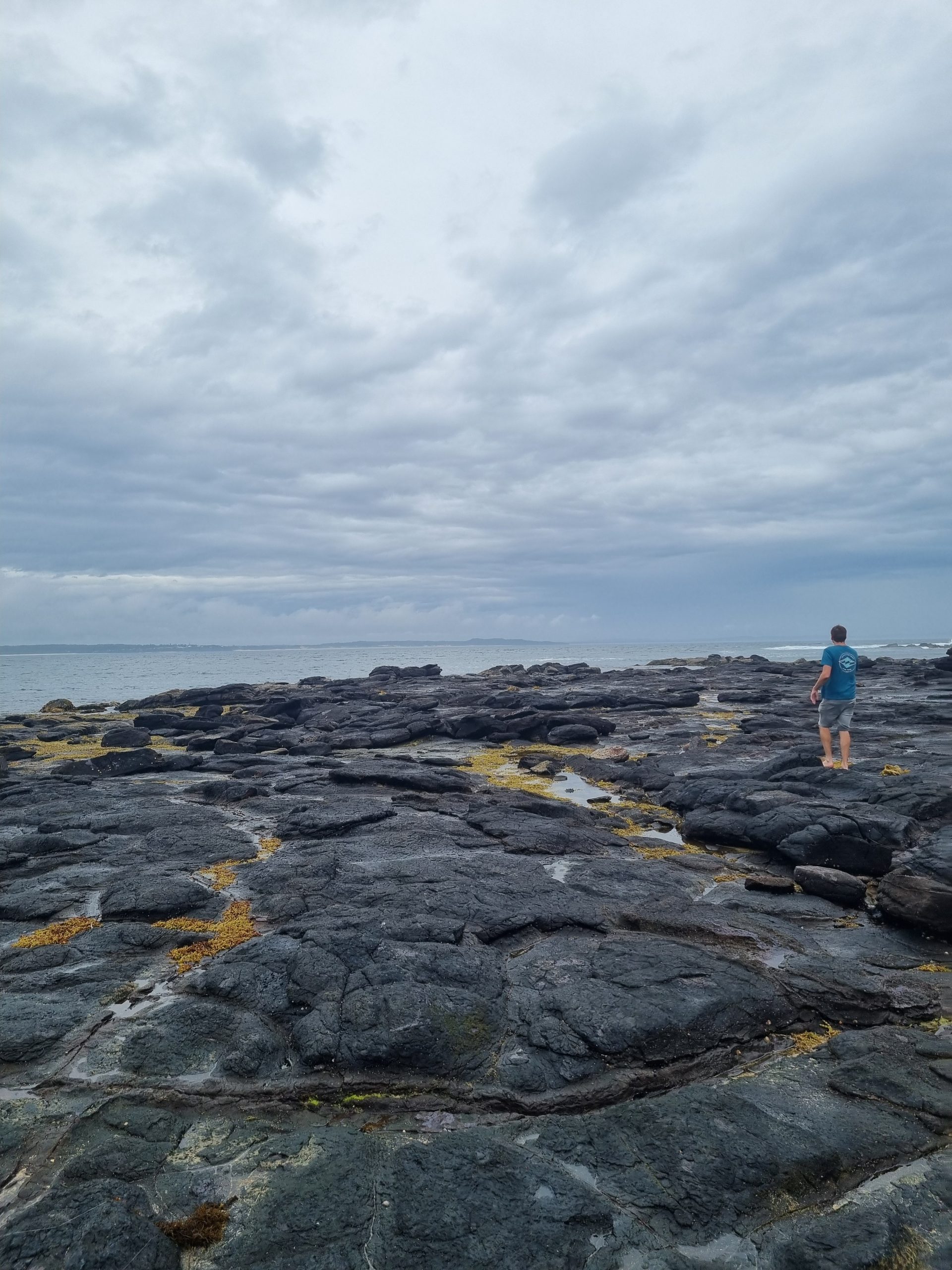 Day 111 – Crusing the coast to sea all the different fins