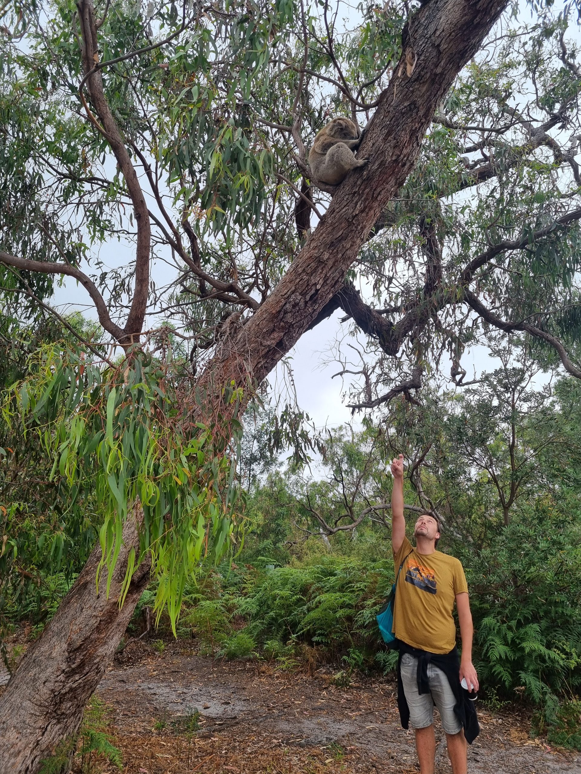 Day 117 – Everybody loves Raymond (Island)