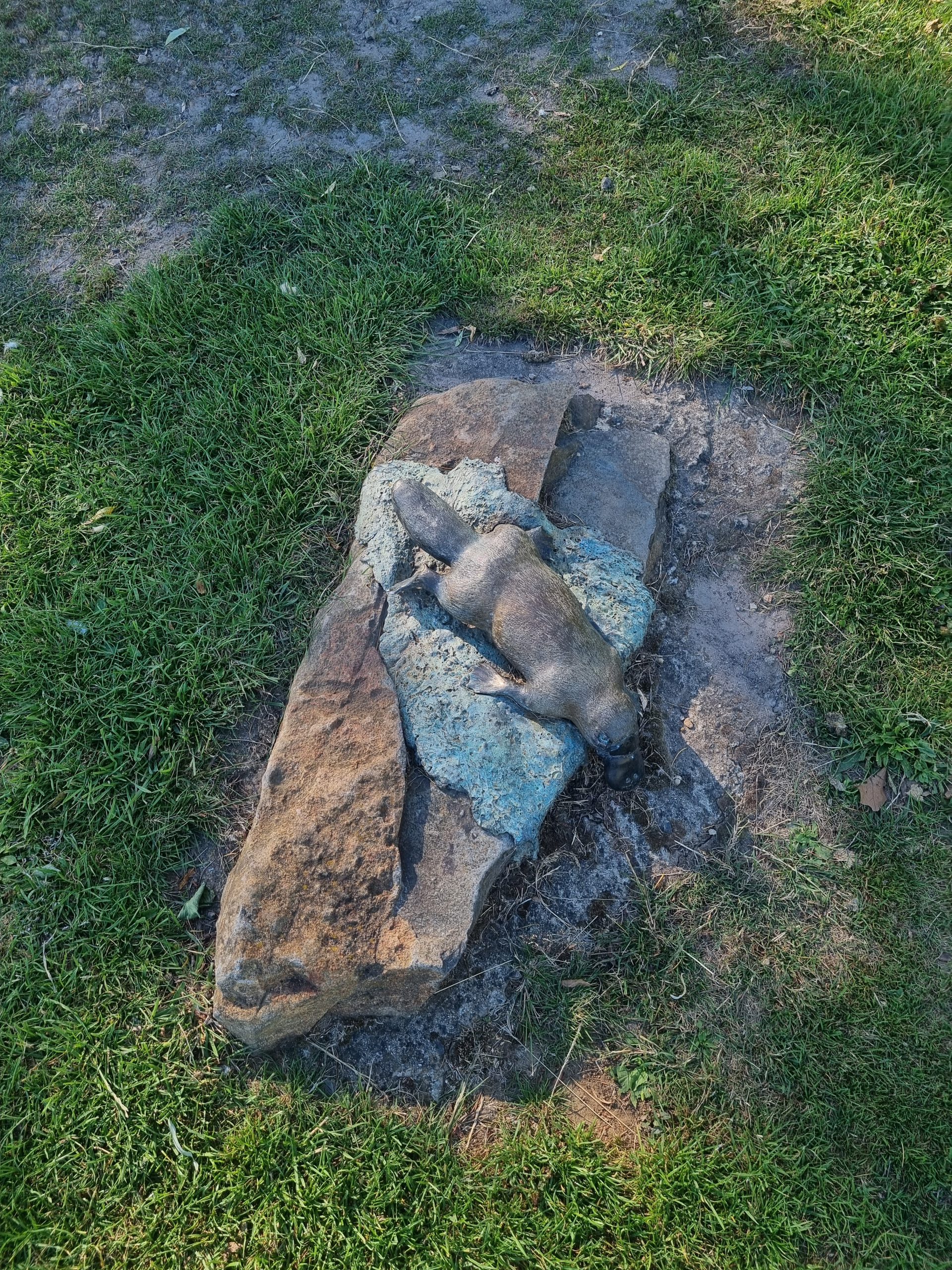 Day 131 – On a wild Platypus chase!