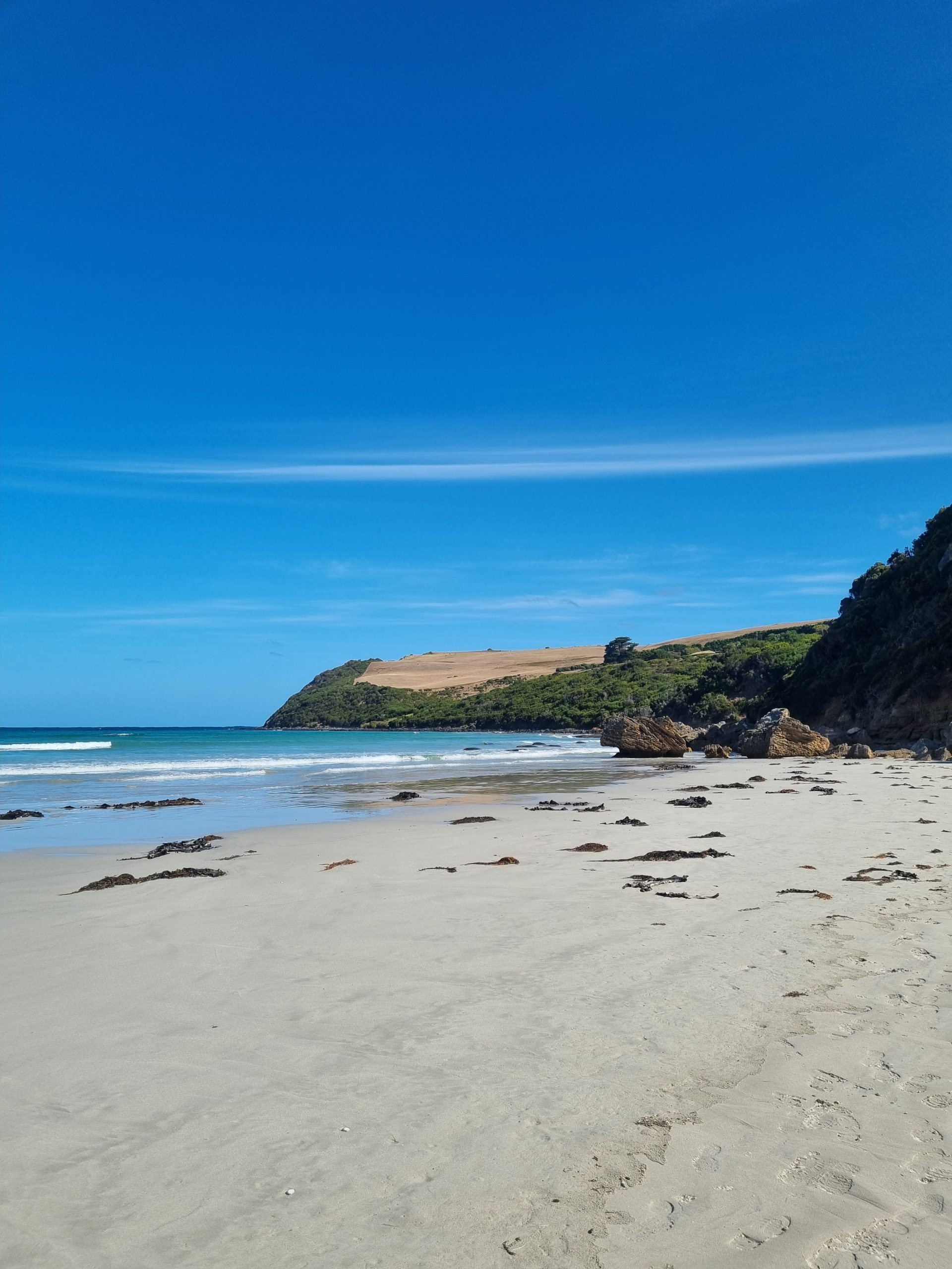 Day 148 – Happy Valentines Day, y’all ❤️