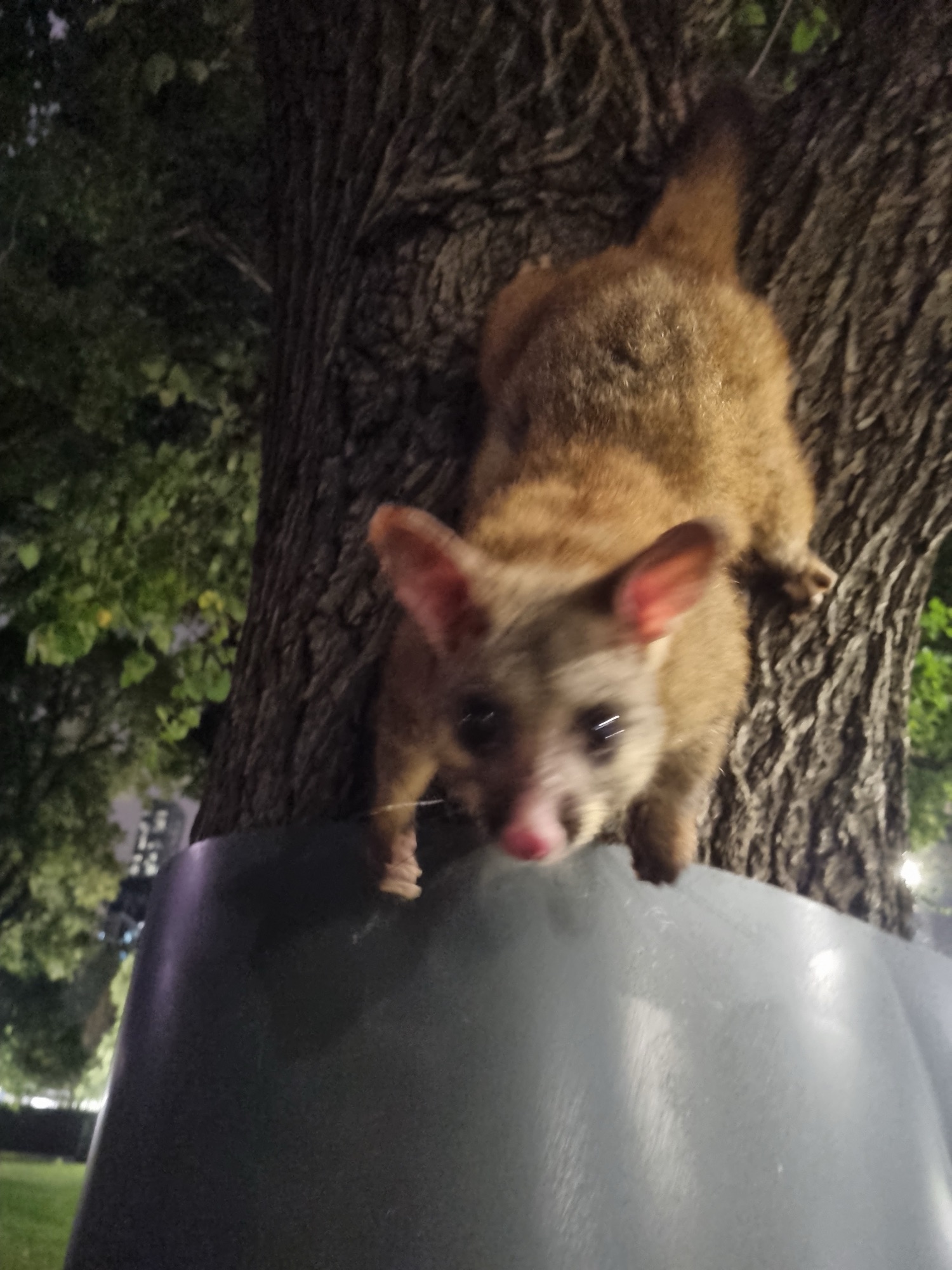 Day 156 – A Davesy day off