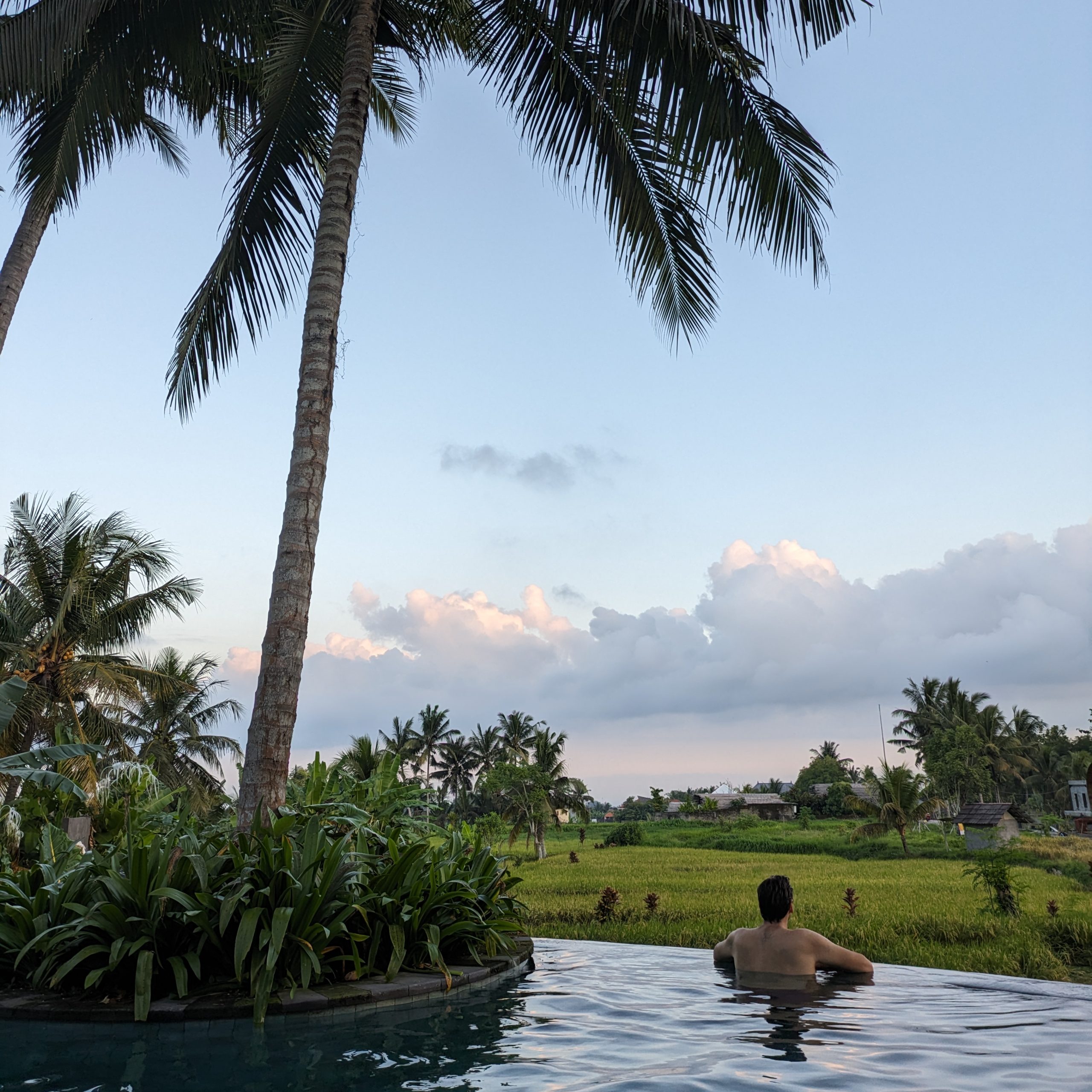 Day 241 – A pool day for Davesy