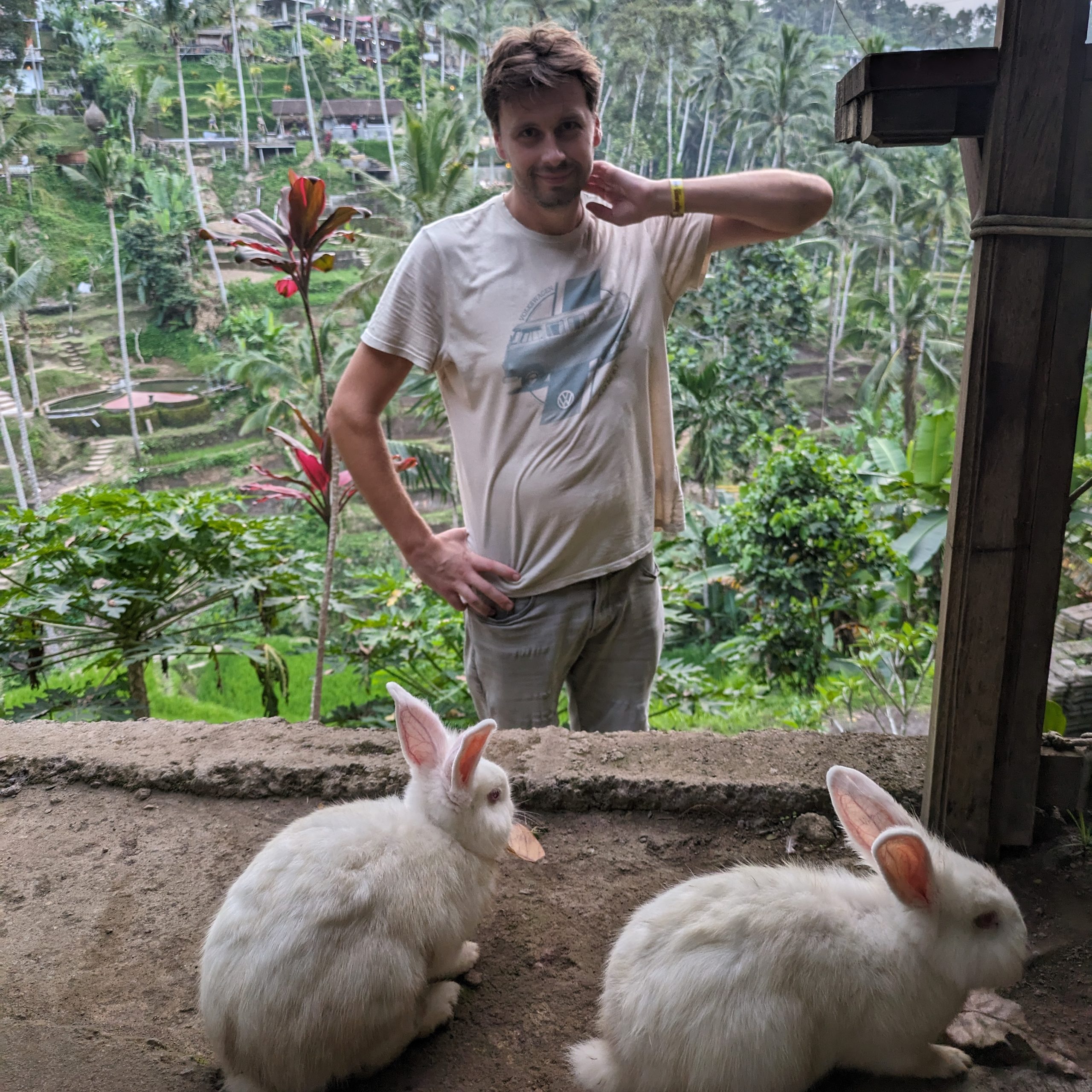 Day 240 – Many a rice field