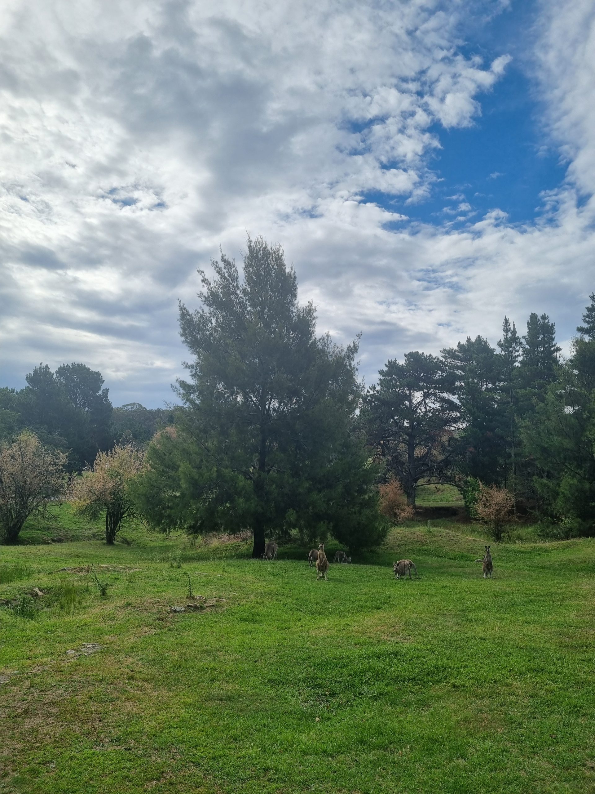 Day 106 – Hill End or mine?