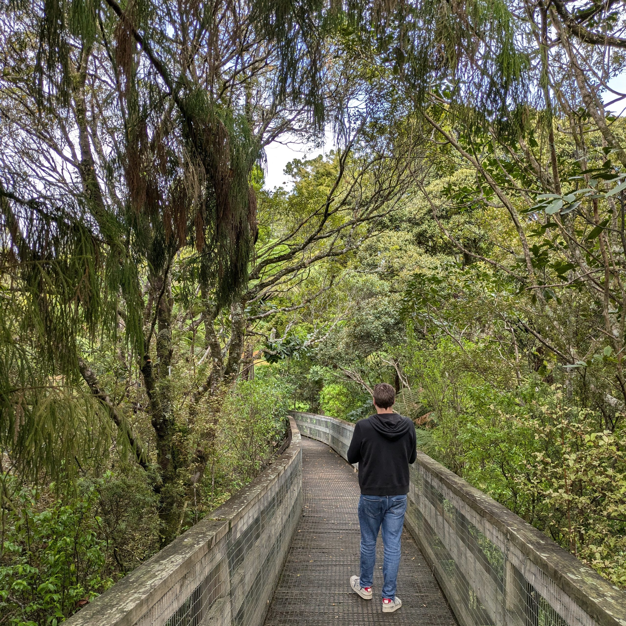 Day 359 – Navigating the Northlands