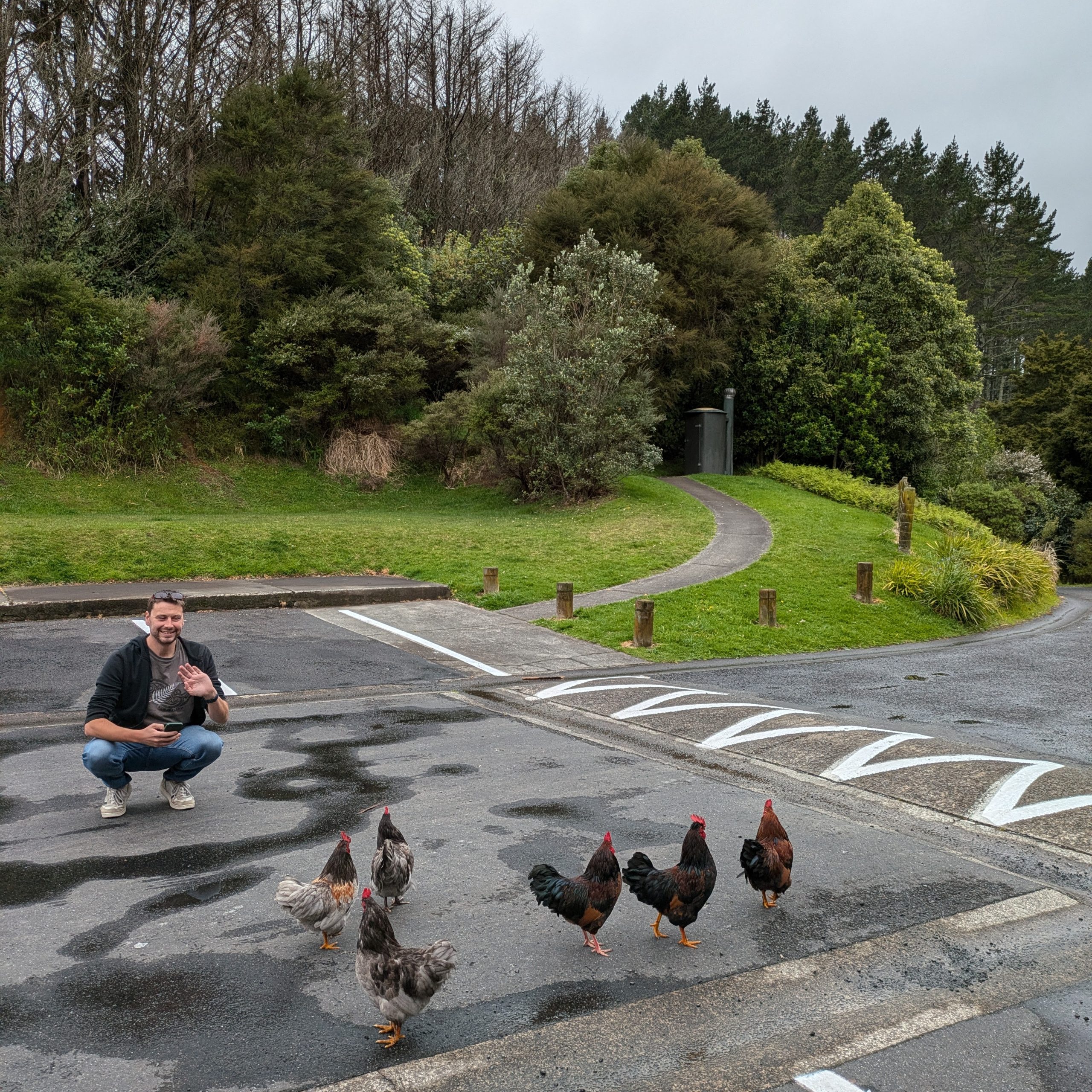 Day 379 – The Bay of Plenty