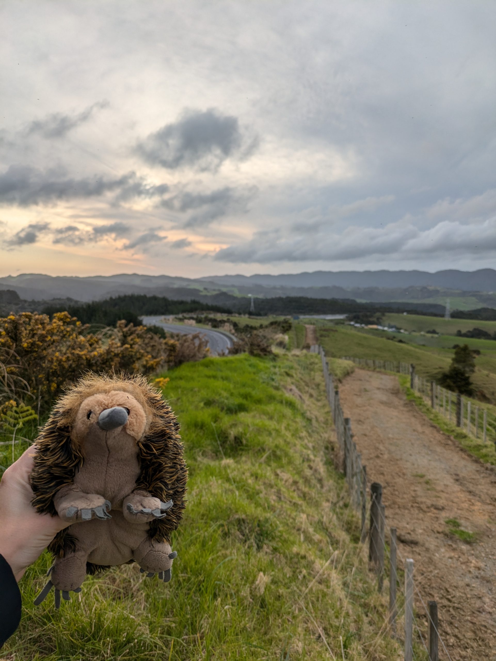 Day 357 – Back to exploring!