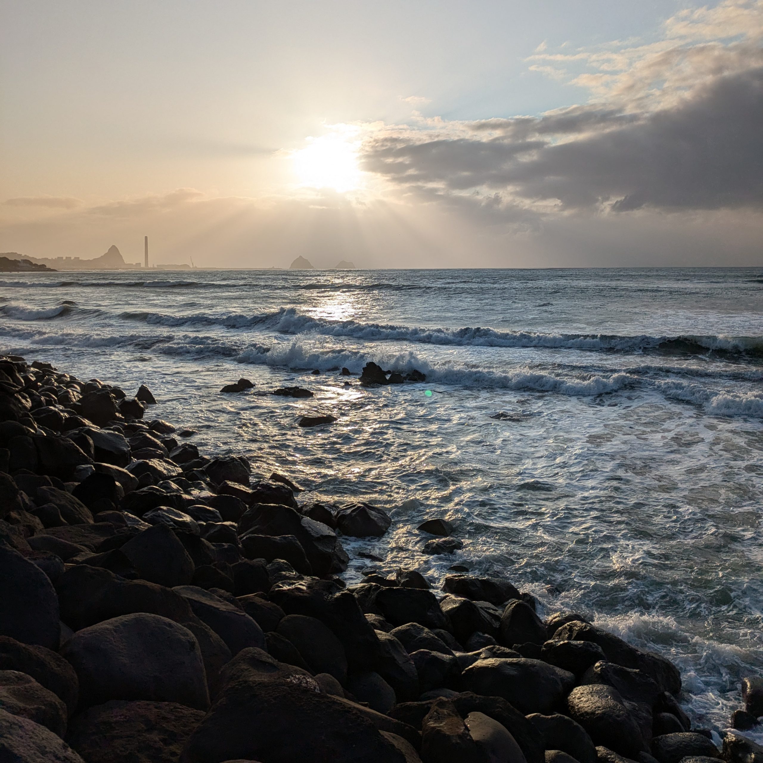 Day 371 – Zoo and double dinner