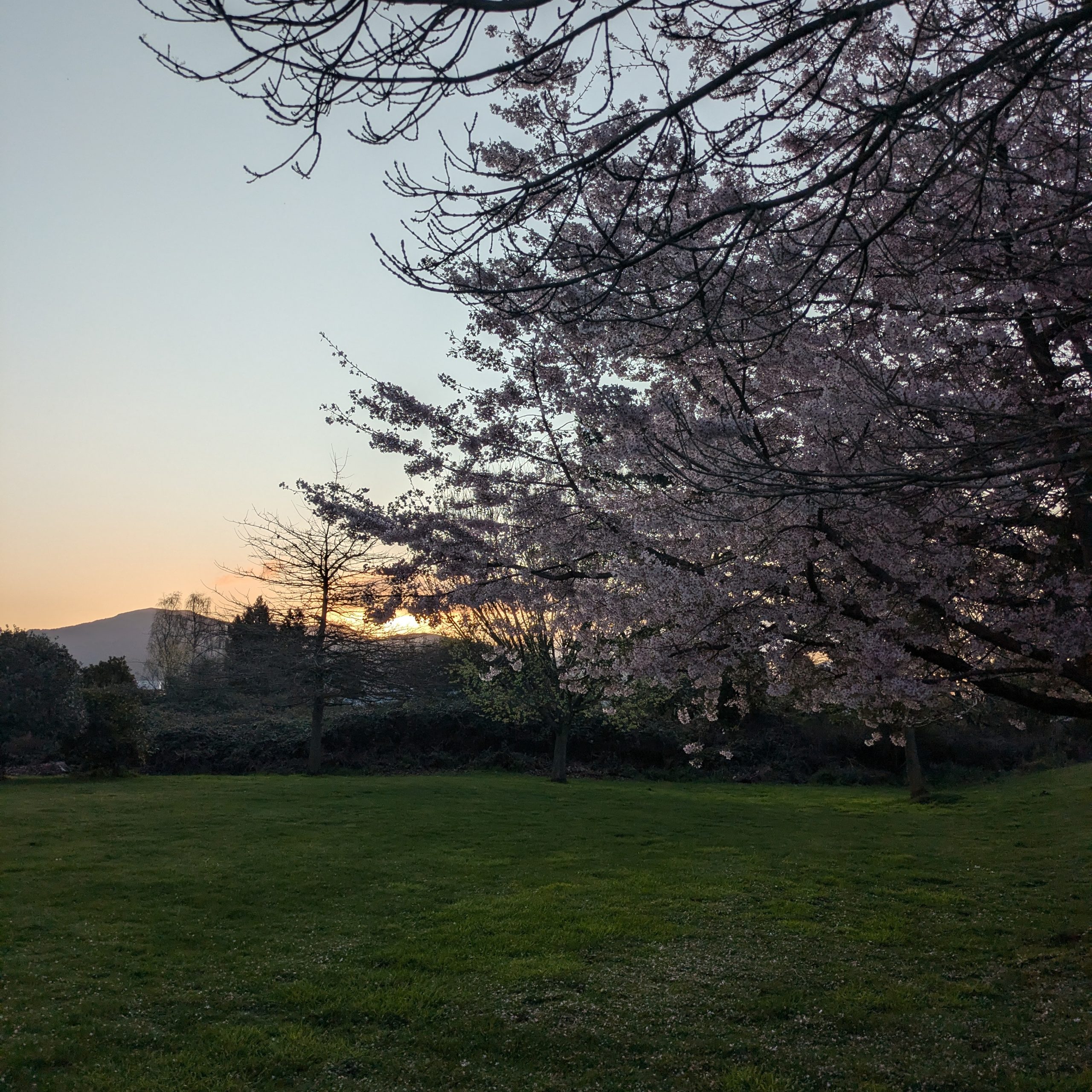 Day 368 – Getting our Geothermals on