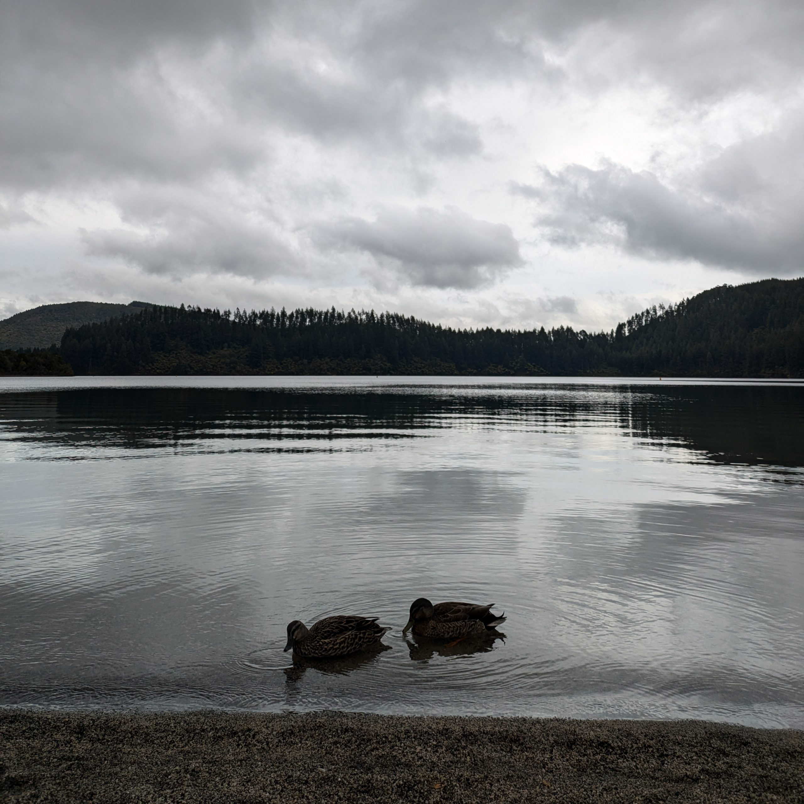 Day 367 – Are you feeling lakey, punk?