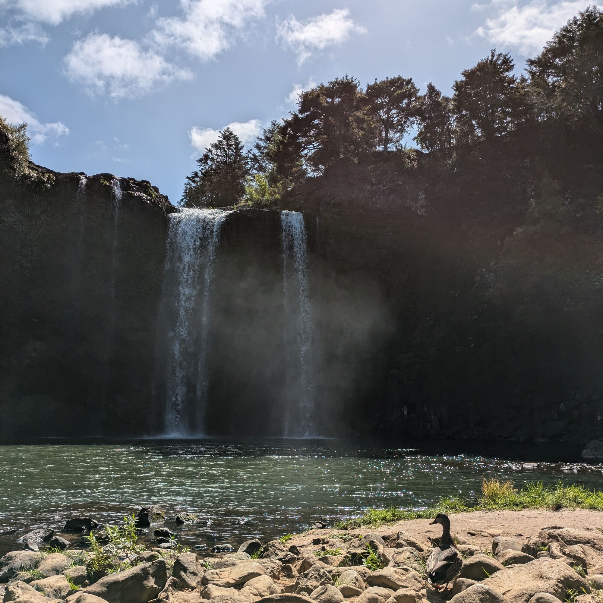 Day 358 – We’re going on a kiwi hunt