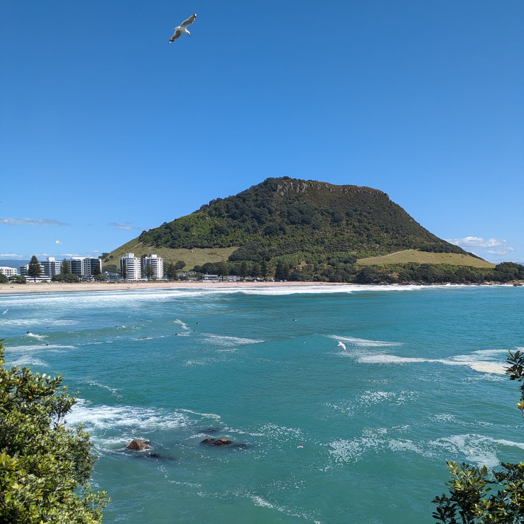 Day 381 – Mount Maunganui