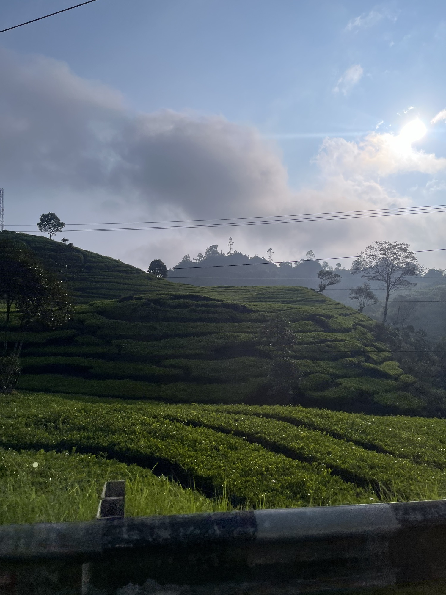 Day 231 – Java lava