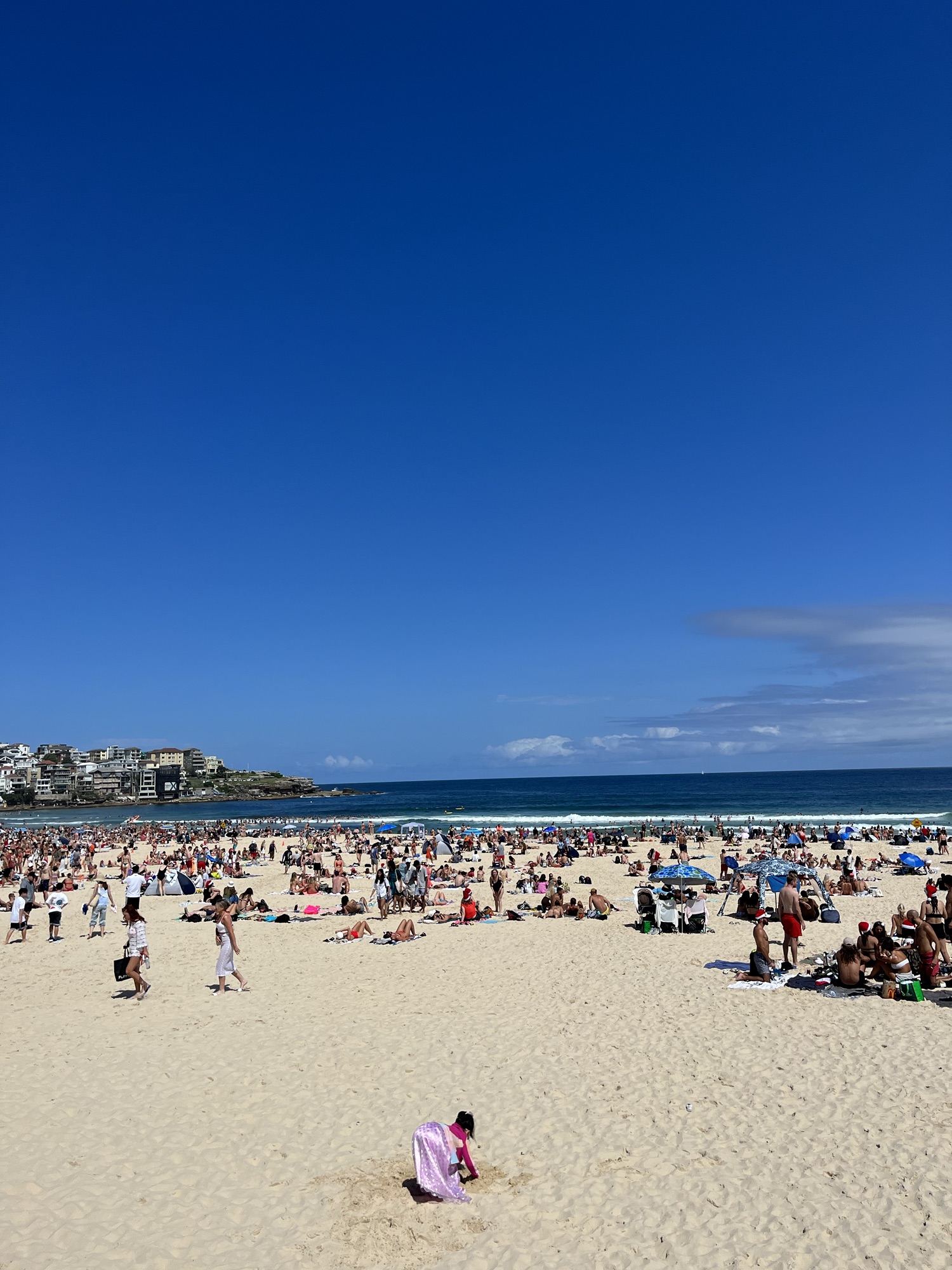 Day 97 – A Bondi Beach Christmas