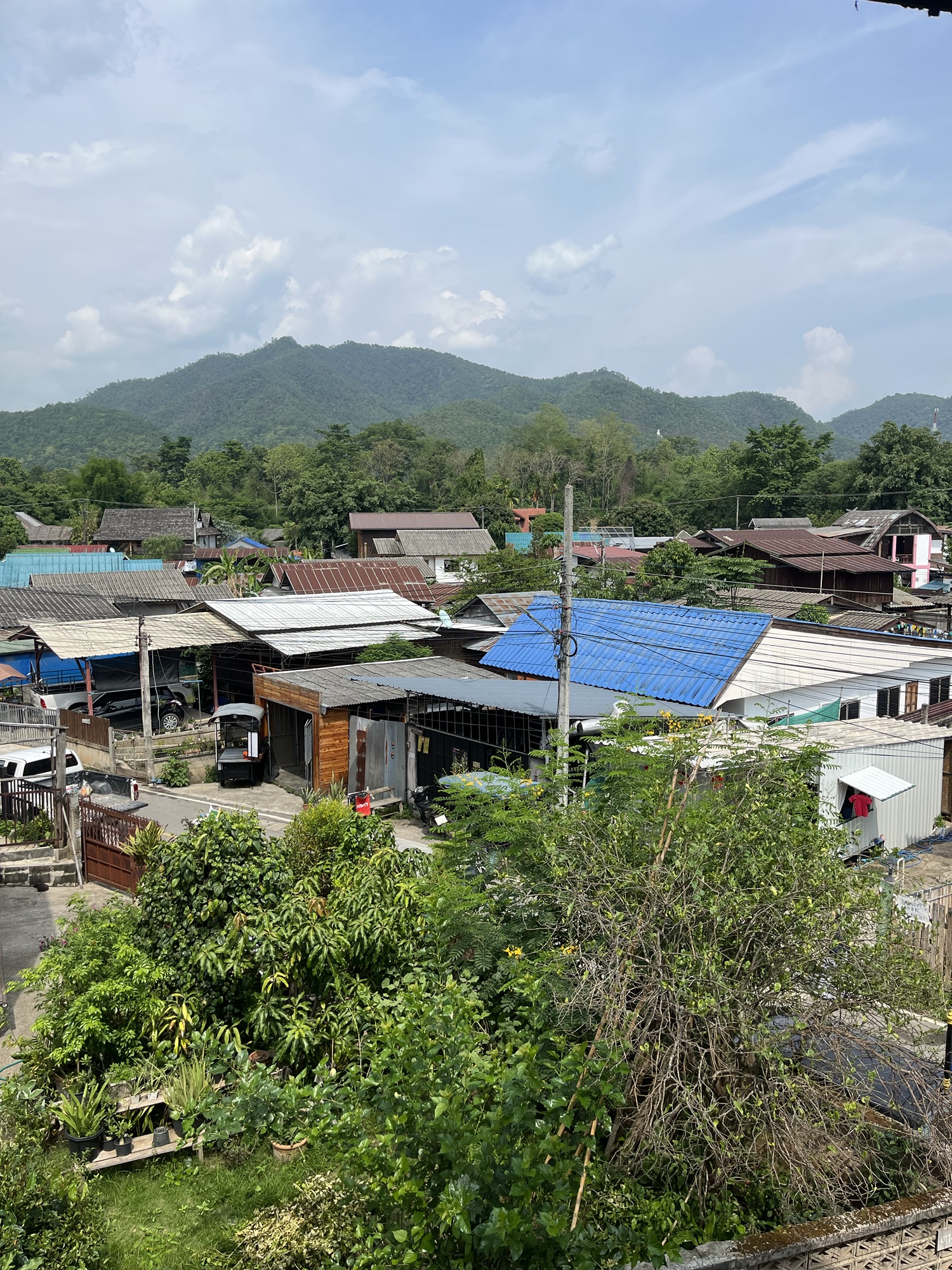 Day 255 – Who fancies Pai ????