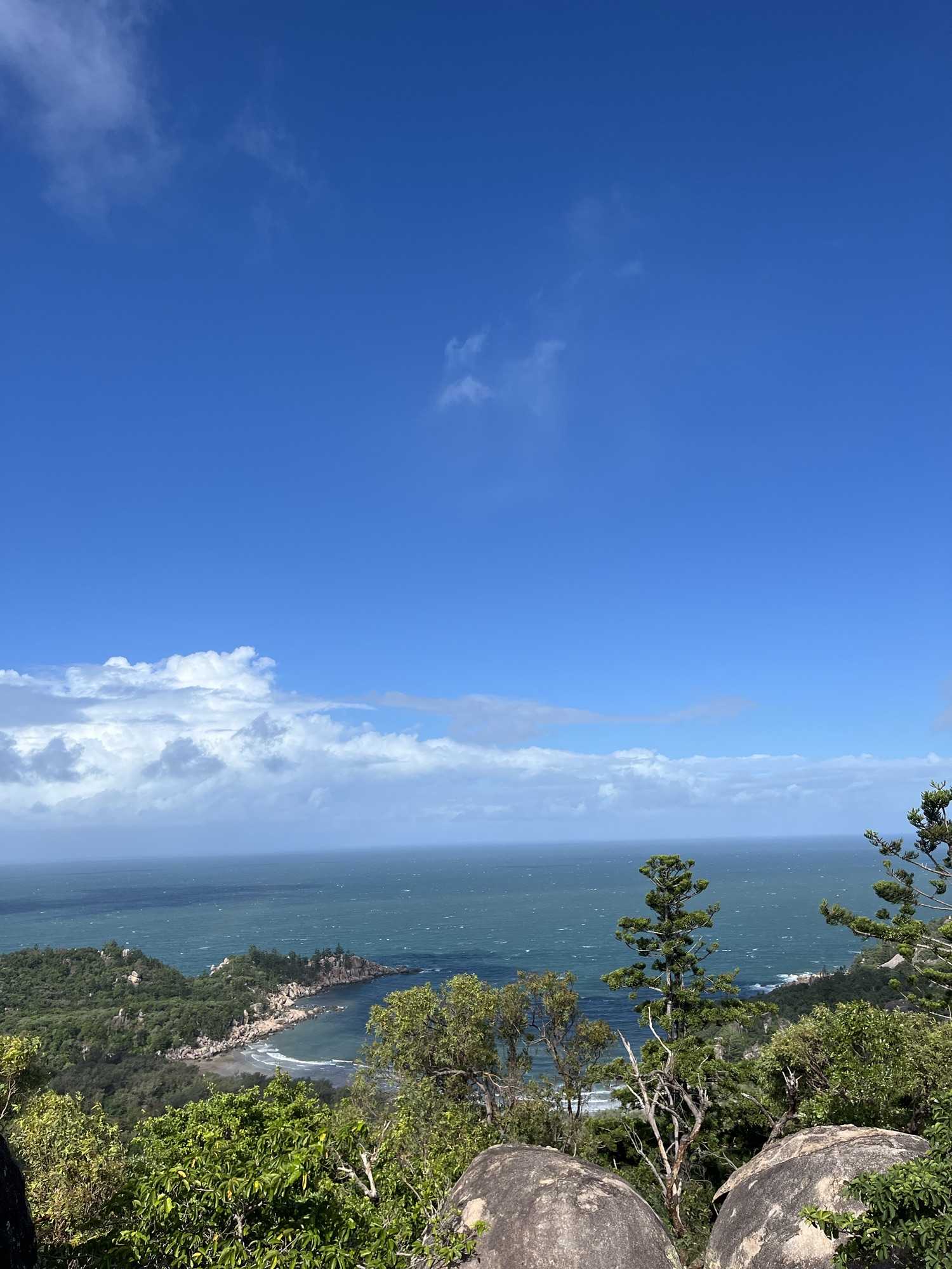 Day 170 – Magnetic Koalas