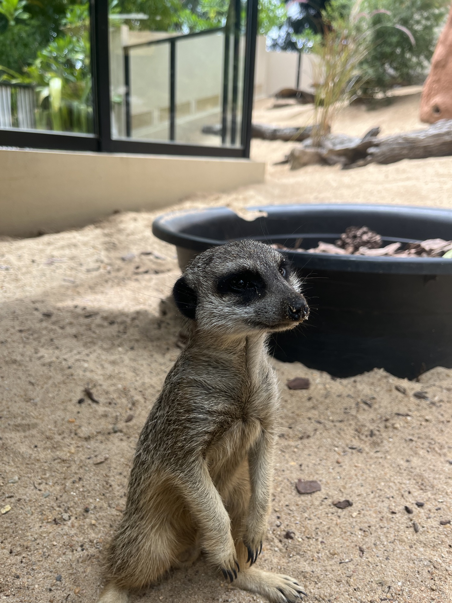 Day 176 – Otter way to start the day