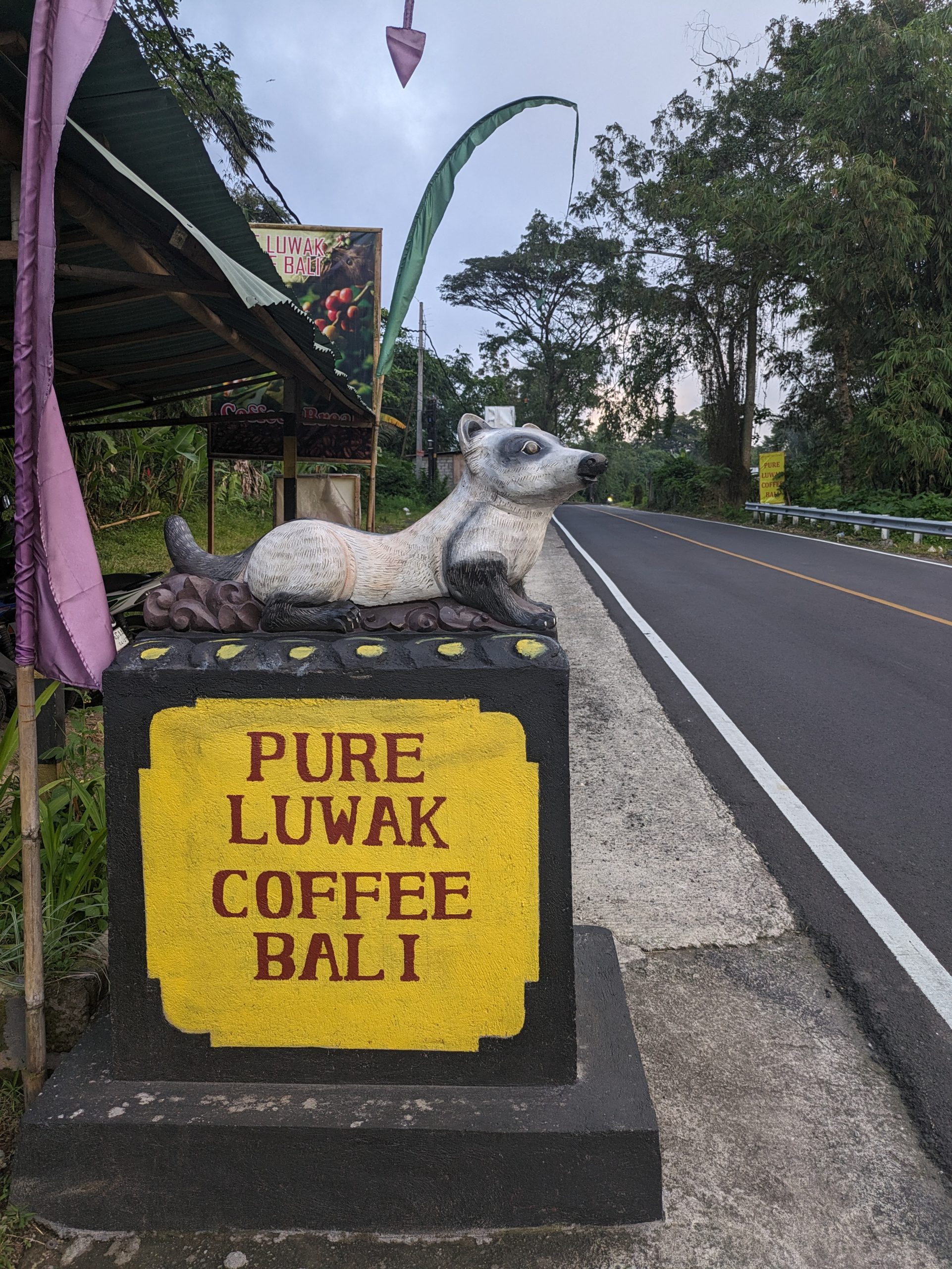 Day 242 – Bali by car