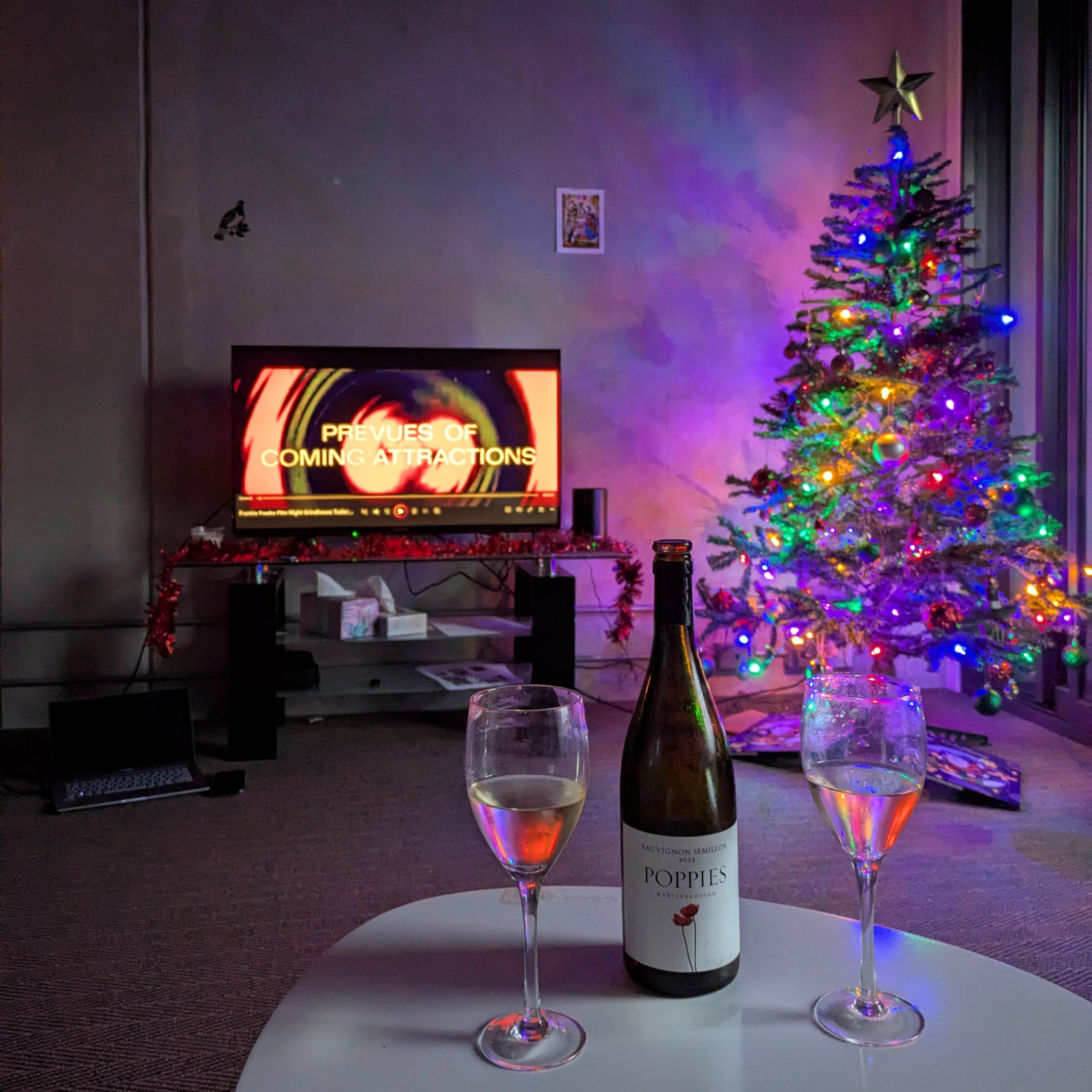 Days 436 – 458 – Becoming Wellington-ians