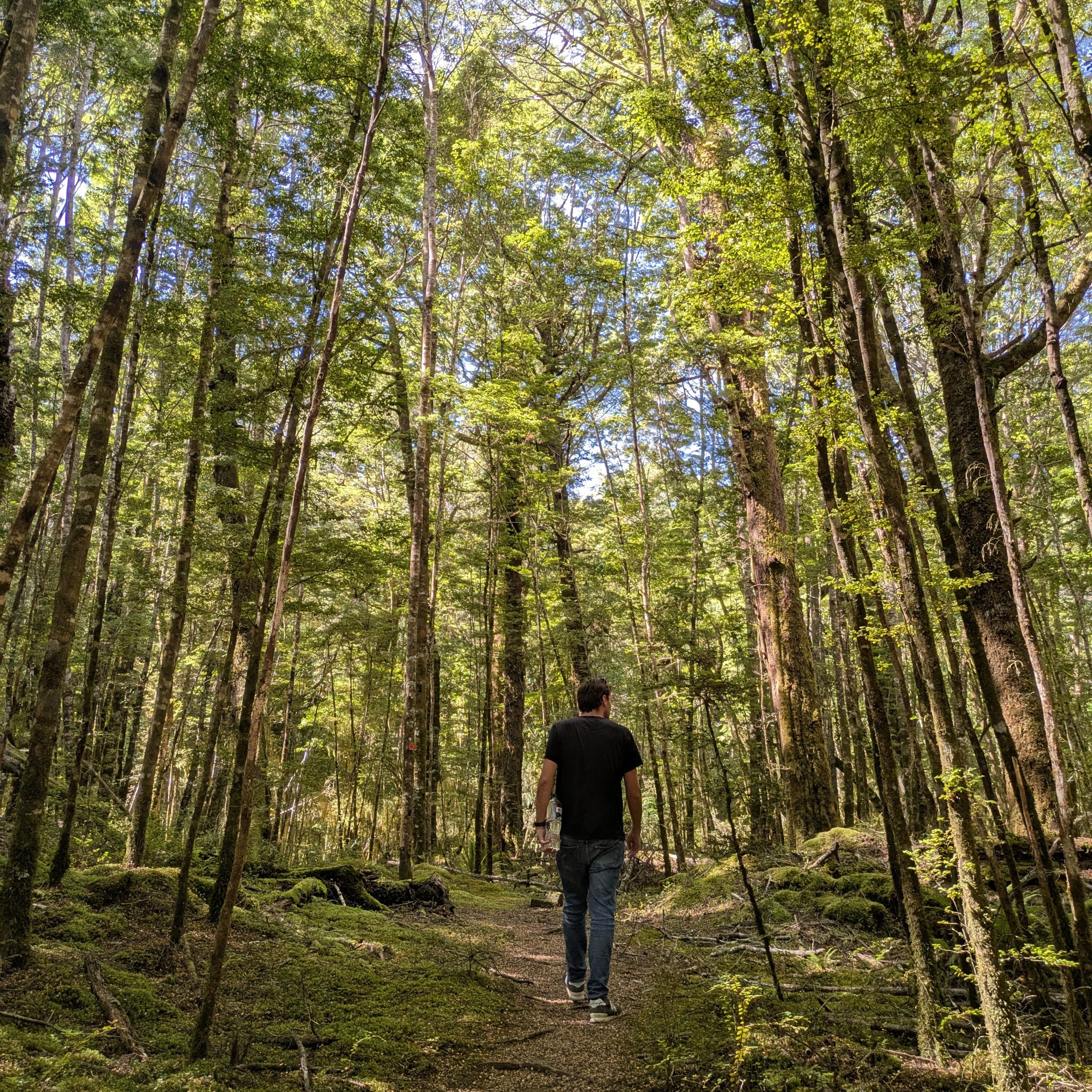 Day 466 – Bluff, Invercargill, Orepuki, Clifden, Manapouri & Te Anau