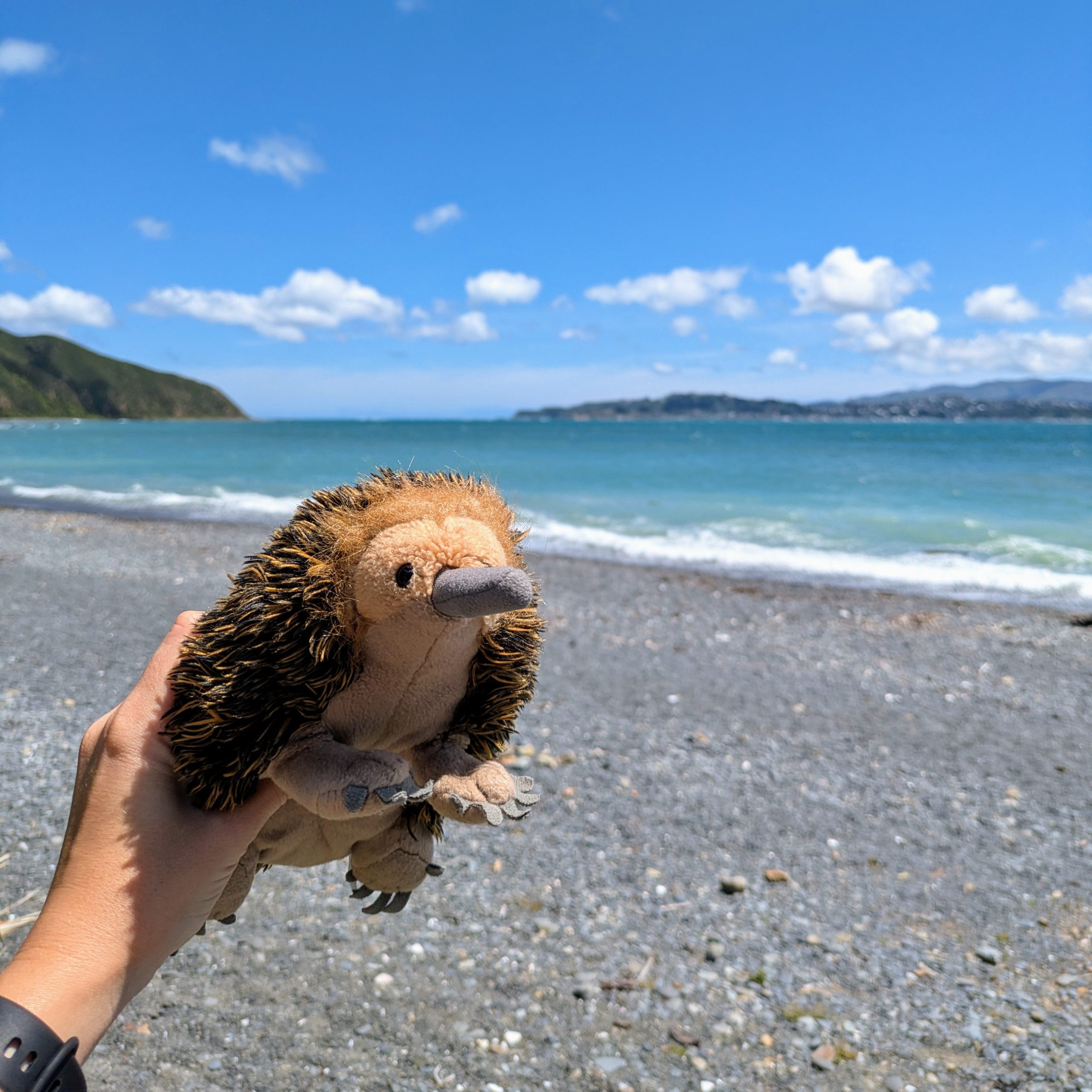 Day 433 – Beaches and wandering to waterfalls