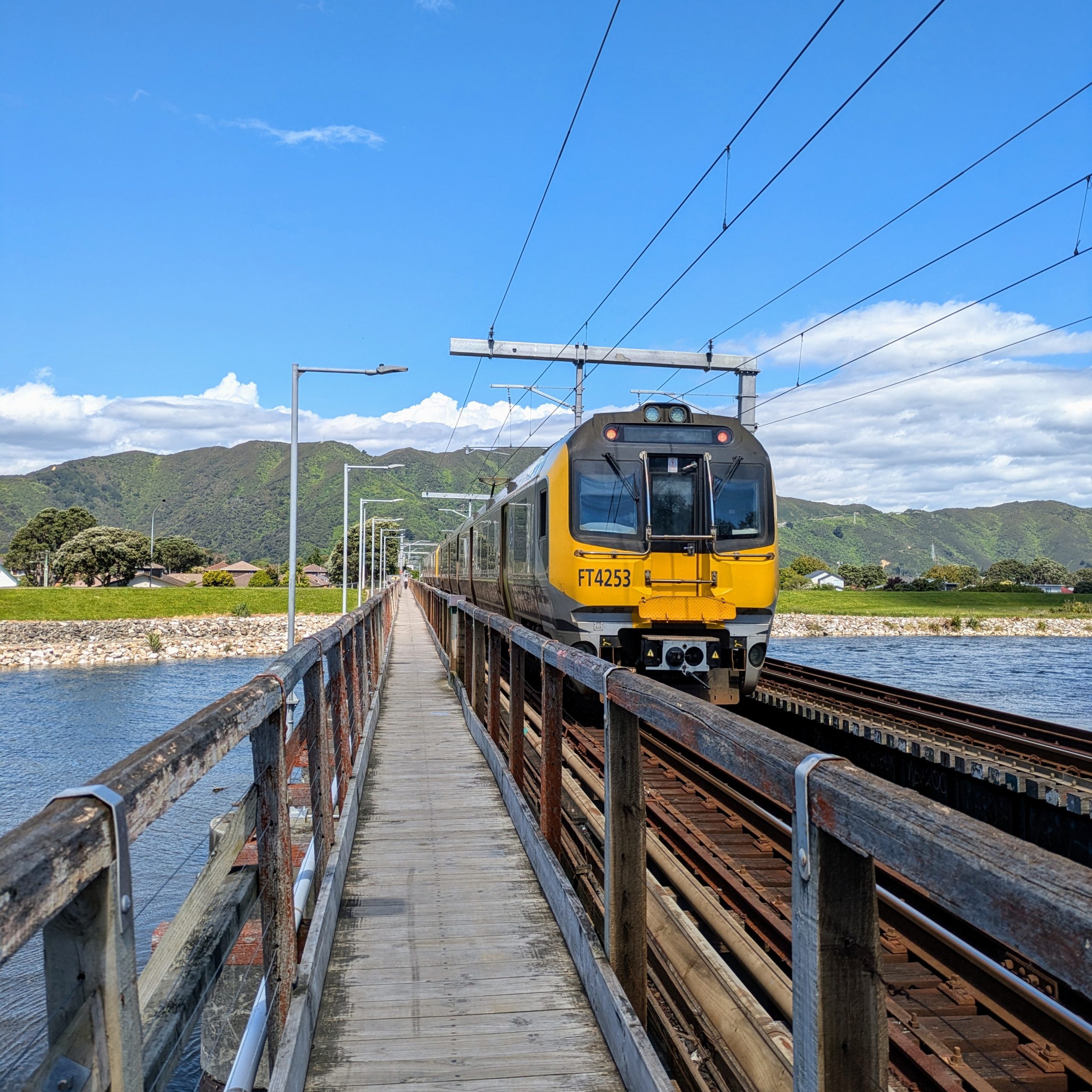 Days 420 – 431 – Worker Bees