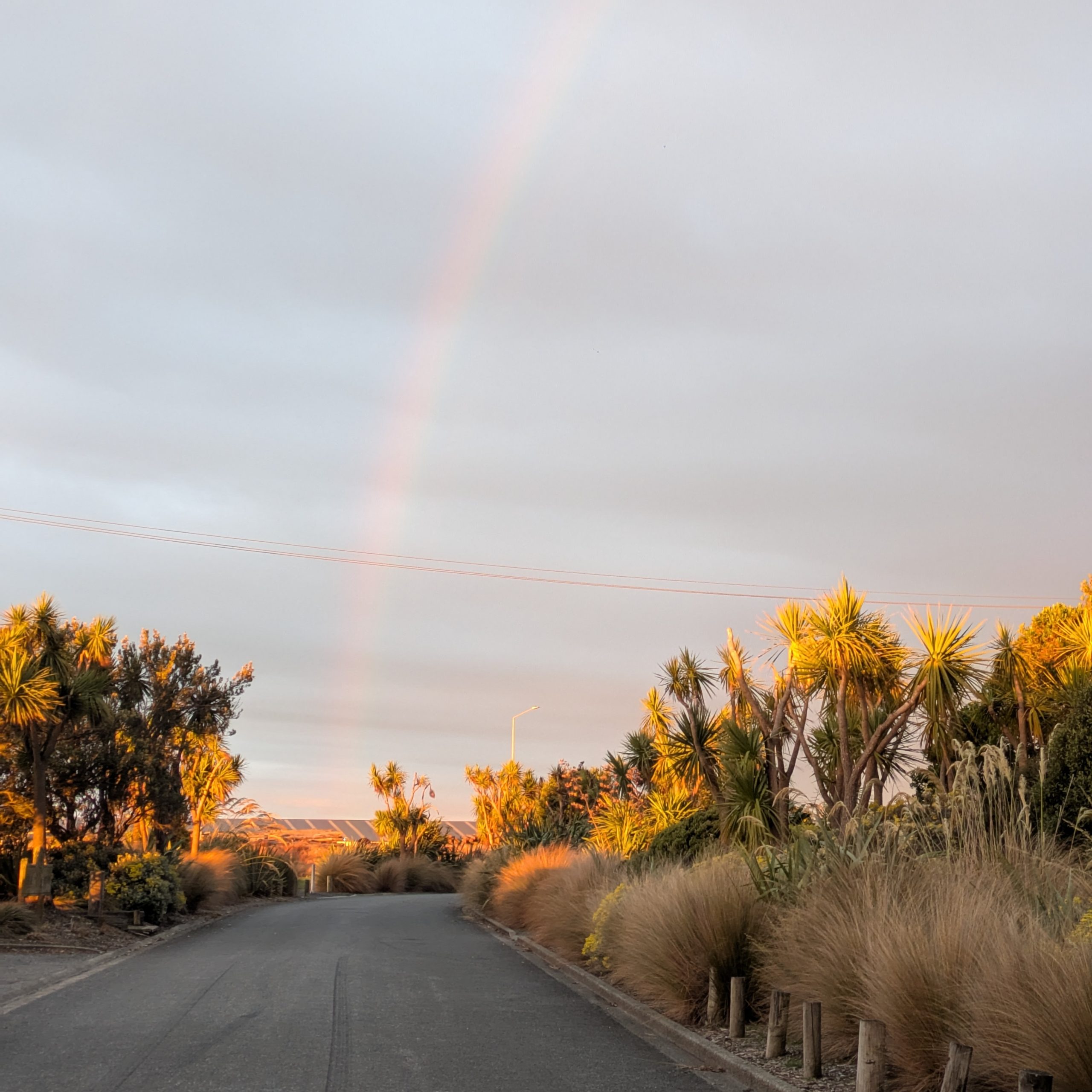 Day 465 – Dunedin, Catlins Forest Park, Curio Bay, Niagara & Invercargill
