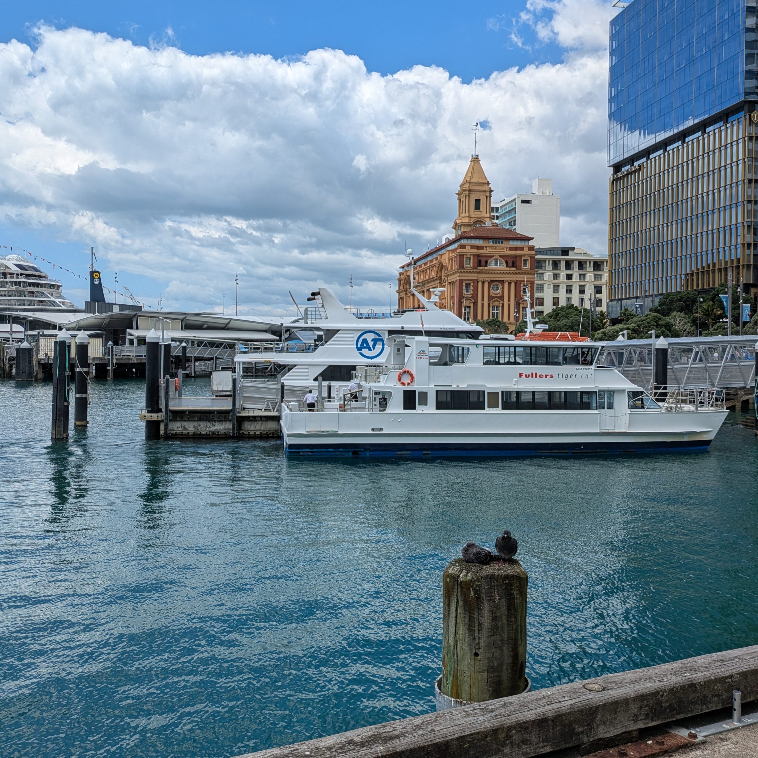 Day 480 – See you next month, NZ!