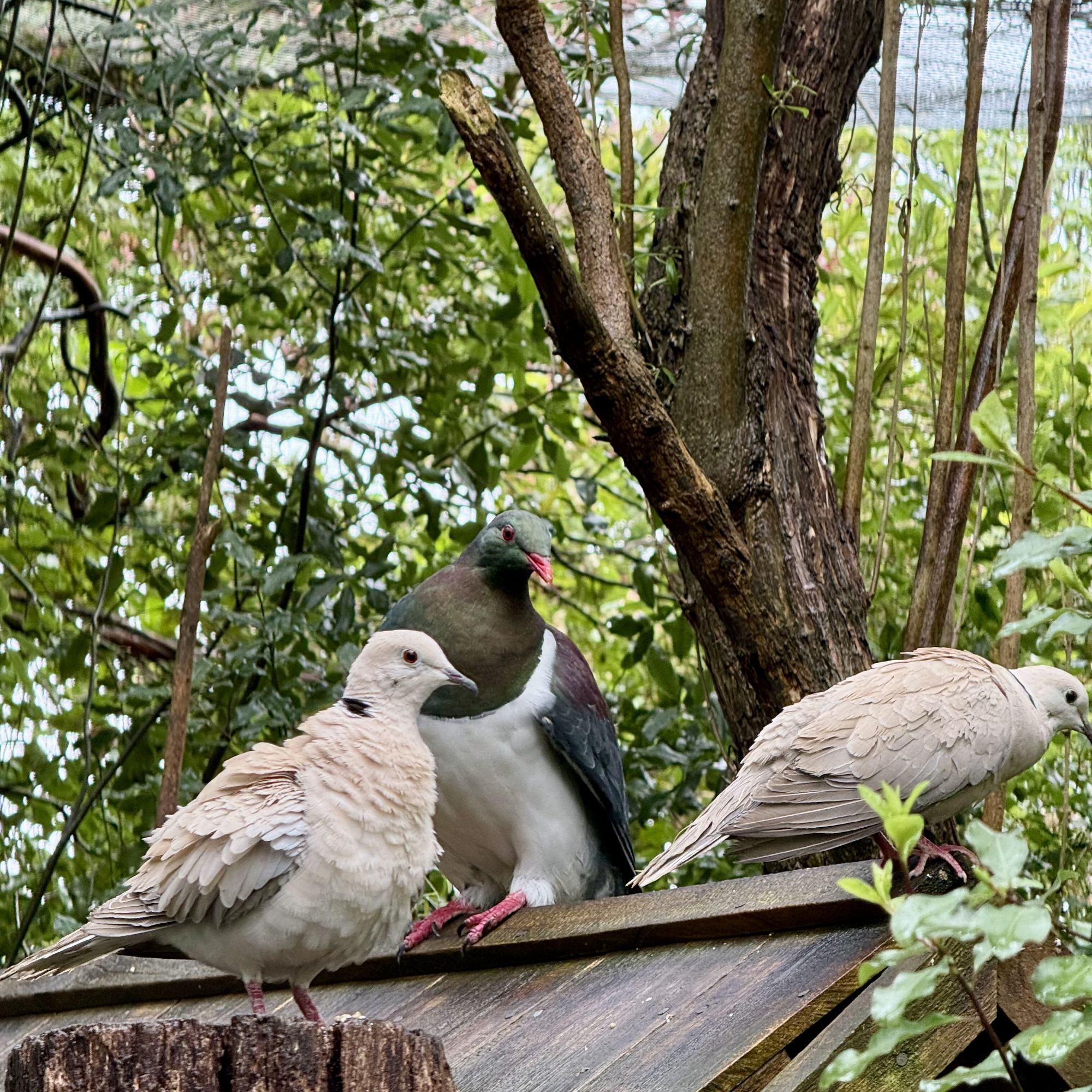 Day 470 – Timaru, Rakaia & Christchurch